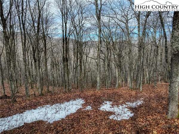 2 Acres of Land for Sale in Todd, North Carolina