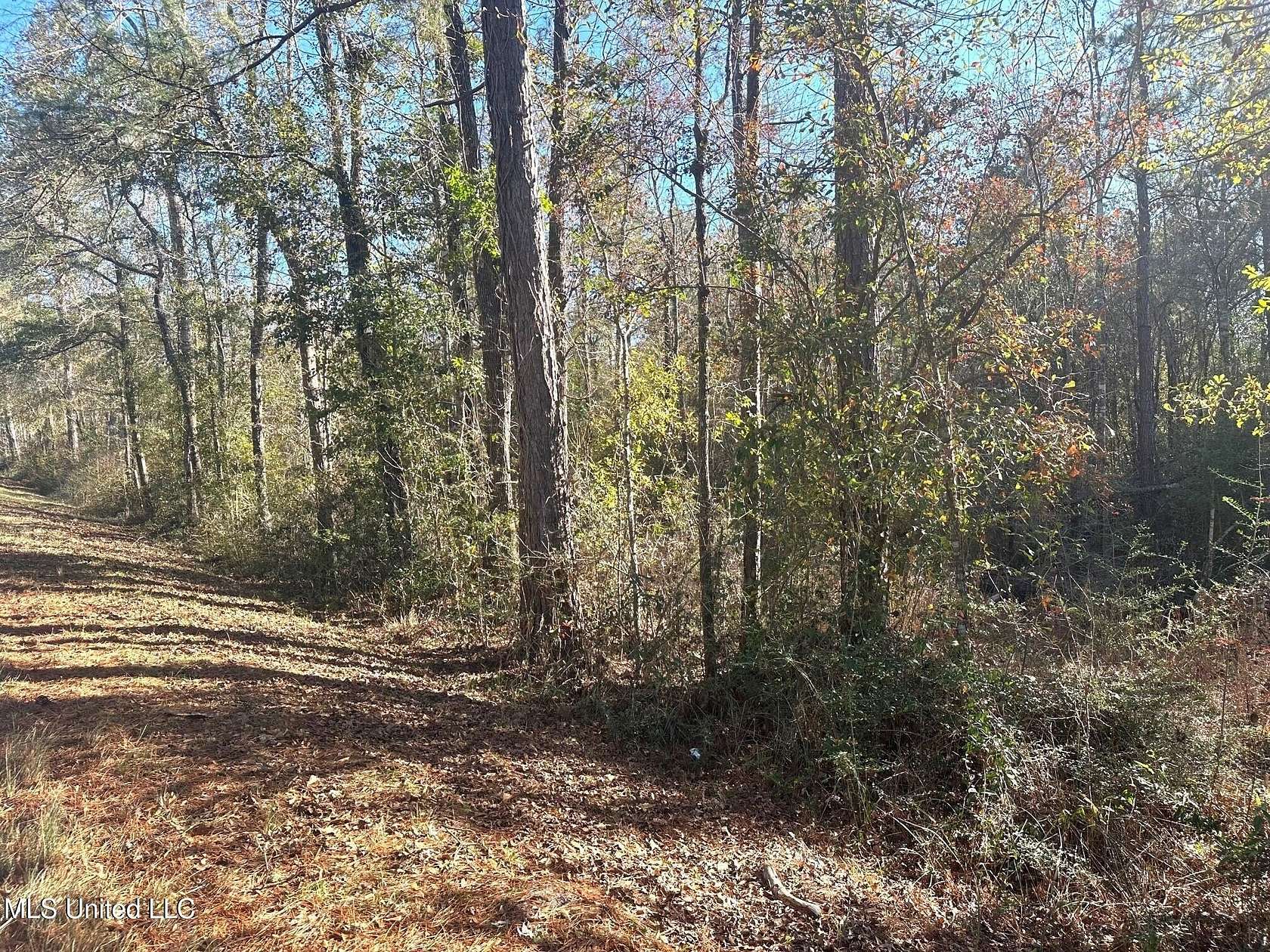 13 Acres of Land for Sale in Lucedale, Mississippi