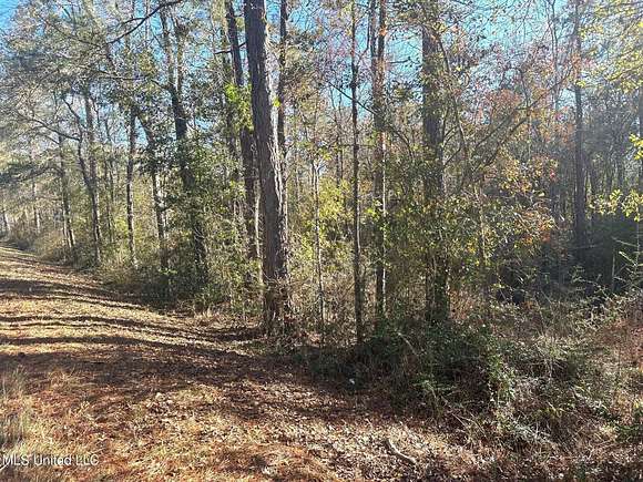 13 Acres of Land for Sale in Lucedale, Mississippi