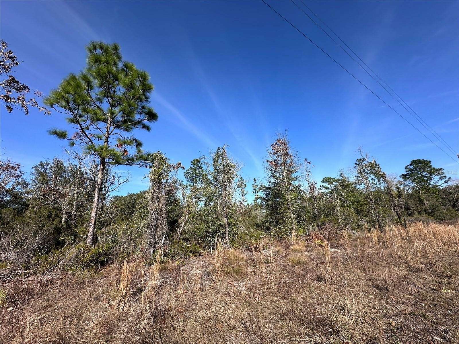 0.25 Acres of Land for Sale in Williston, Florida