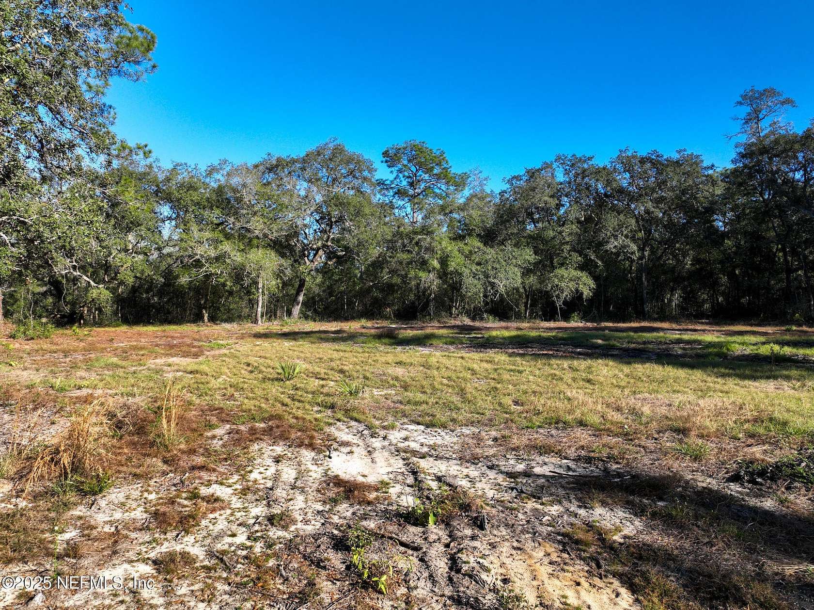 4.13 Acres of Land for Sale in Melrose, Florida