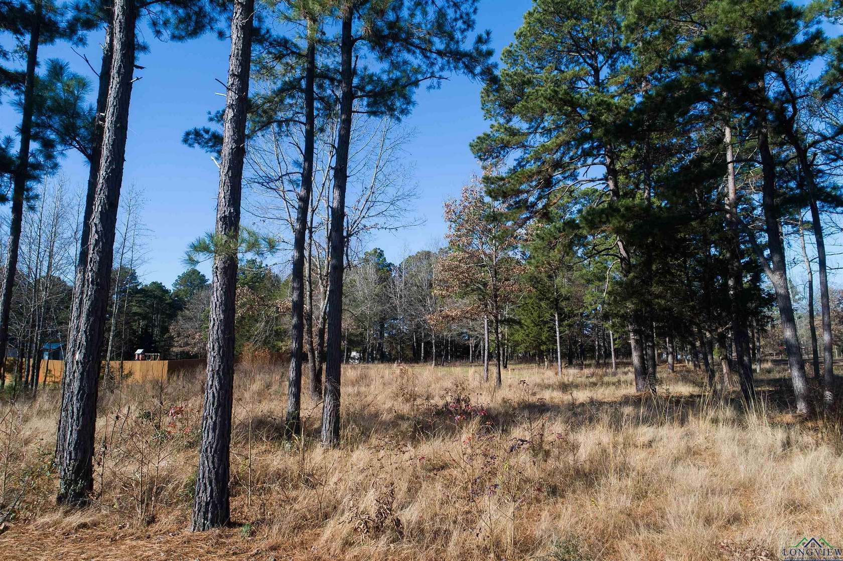 1.591 Acres of Residential Land for Sale in Diana, Texas