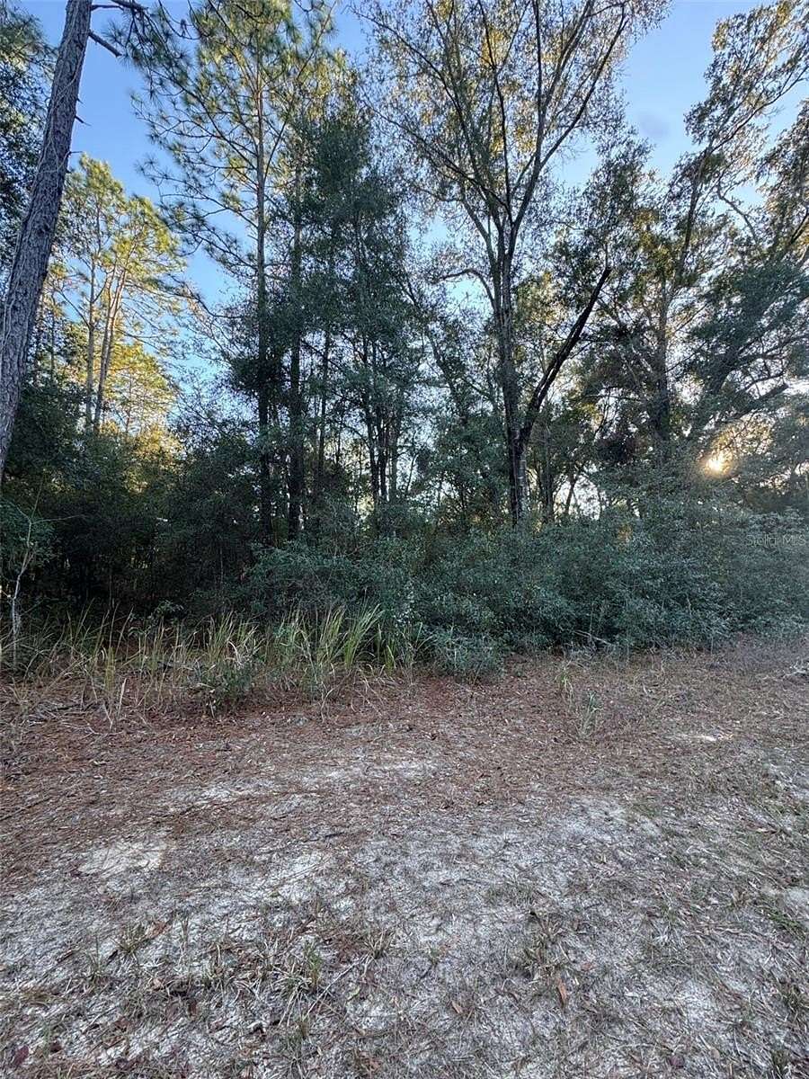 0.24 Acres of Residential Land for Sale in Ocala, Florida