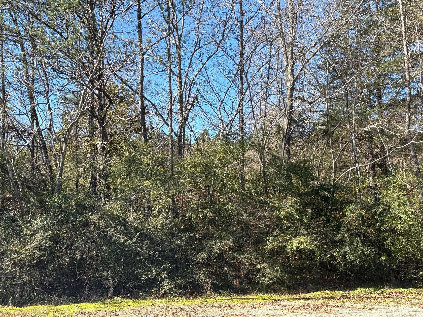 0.8 Acres of Mixed-Use Land for Sale in Dora, Alabama