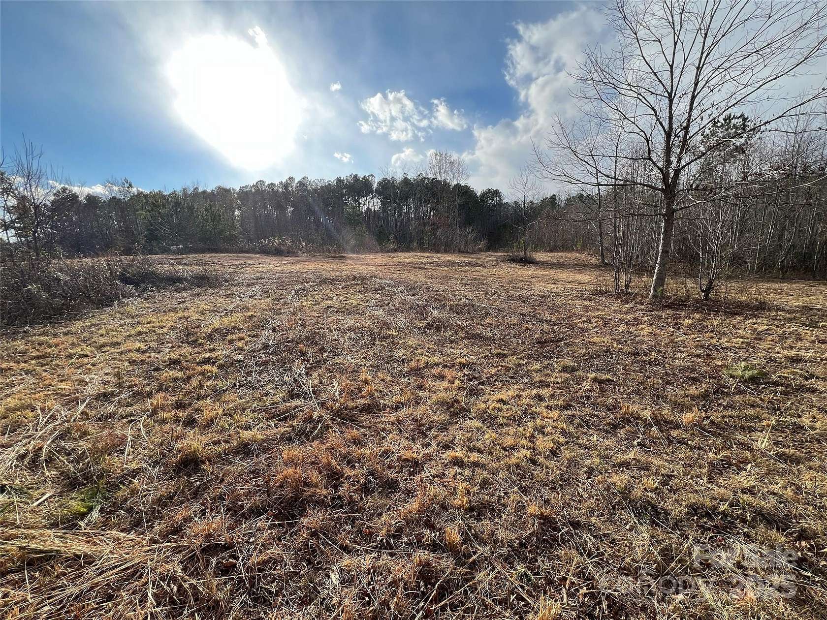 39.43 Acres of Recreational Land for Sale in Nebo, North Carolina