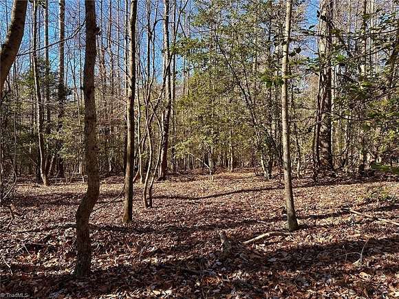 5 Acres of Residential Land for Sale in Hays, North Carolina