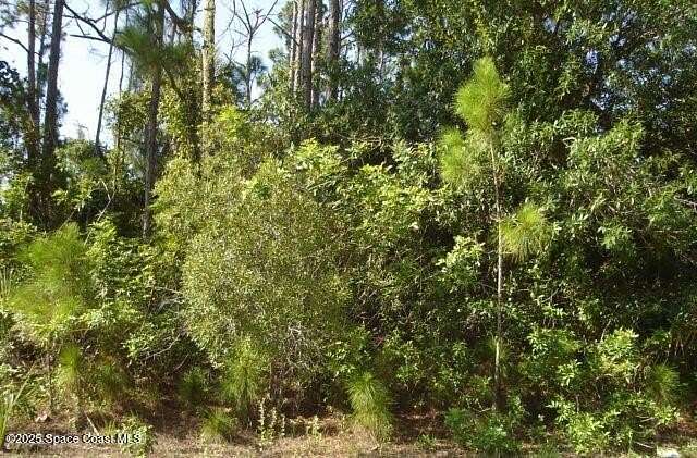 0.23 Acres of Residential Land for Sale in Palm Bay, Florida