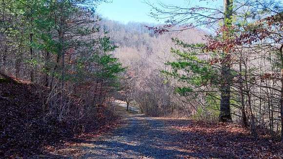 Residential Land for Sale in Robbinsville, North Carolina