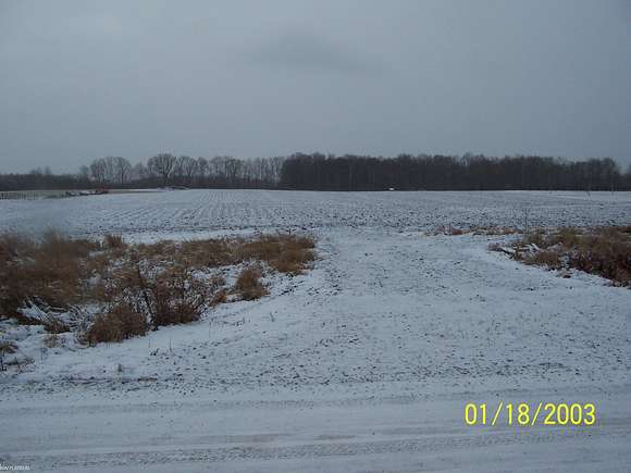 10.01 Acres of Land for Sale in Emmett, Michigan