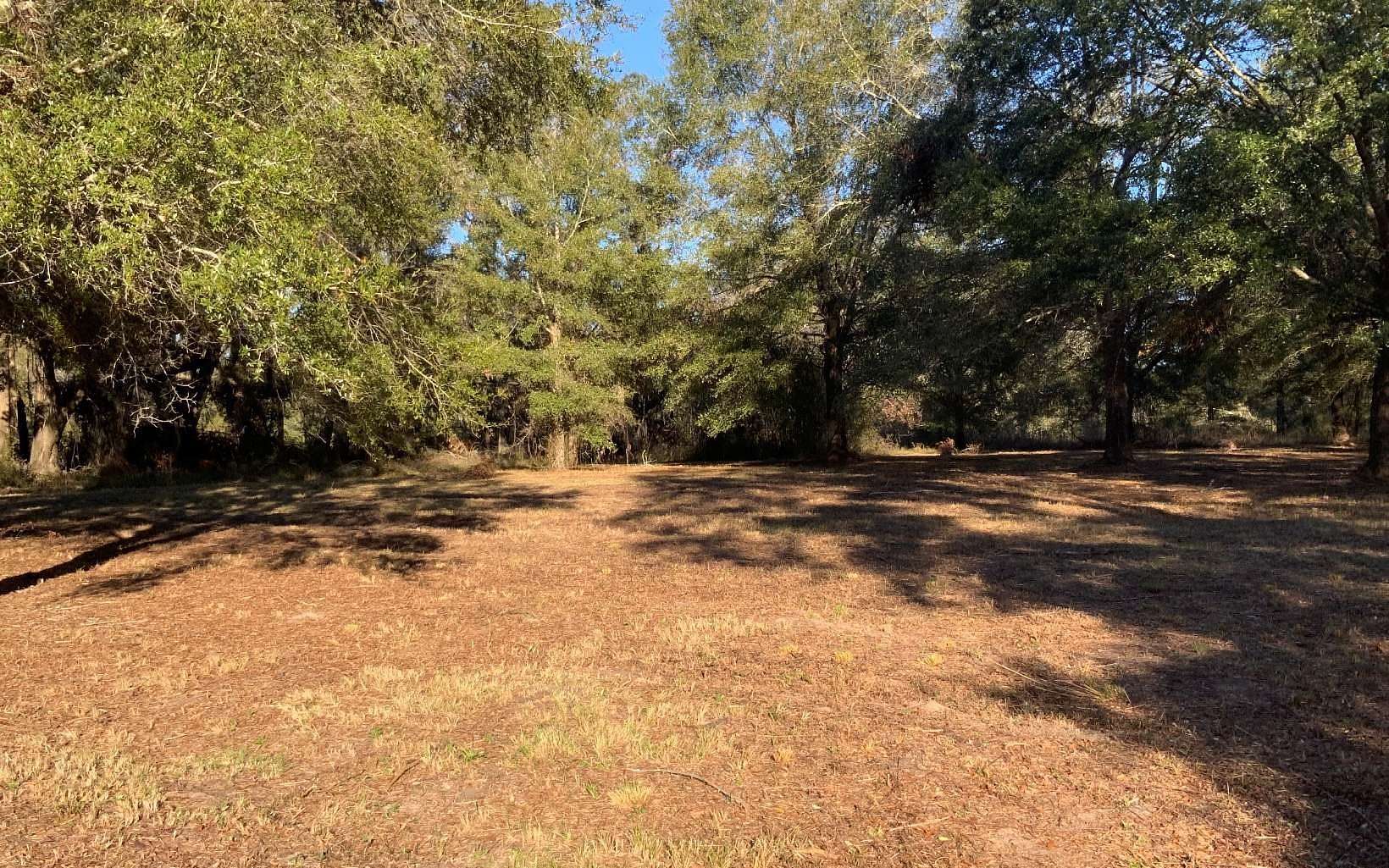 Residential Land for Sale in Wellborn, Florida