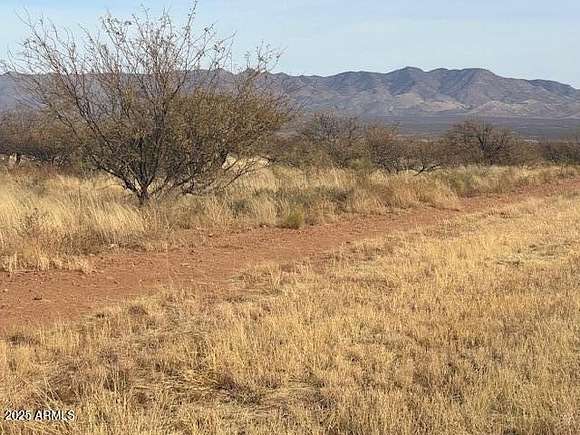 7.33 Acres of Land for Sale in Hereford, Arizona