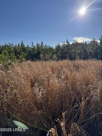 82 Acres of Agricultural Land for Sale in Fairfax, South Carolina