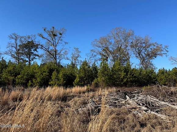 82 Acres of Agricultural Land for Sale in Fairfax, South Carolina