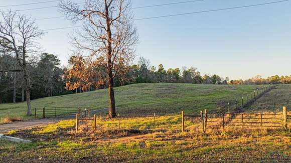 8 Acres of Land for Sale in Tatum, Texas