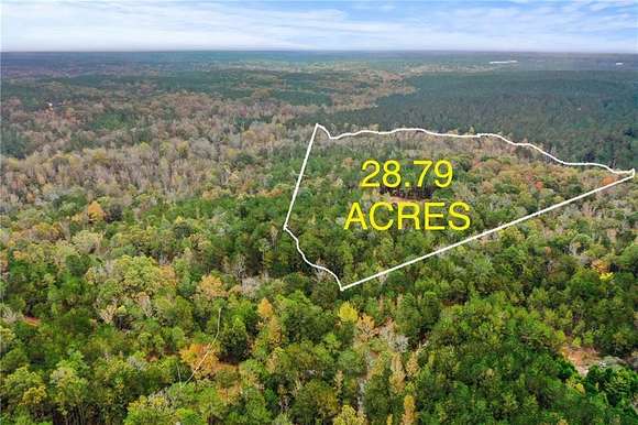 28.79 Acres of Recreational Land for Sale in Elberton, Georgia