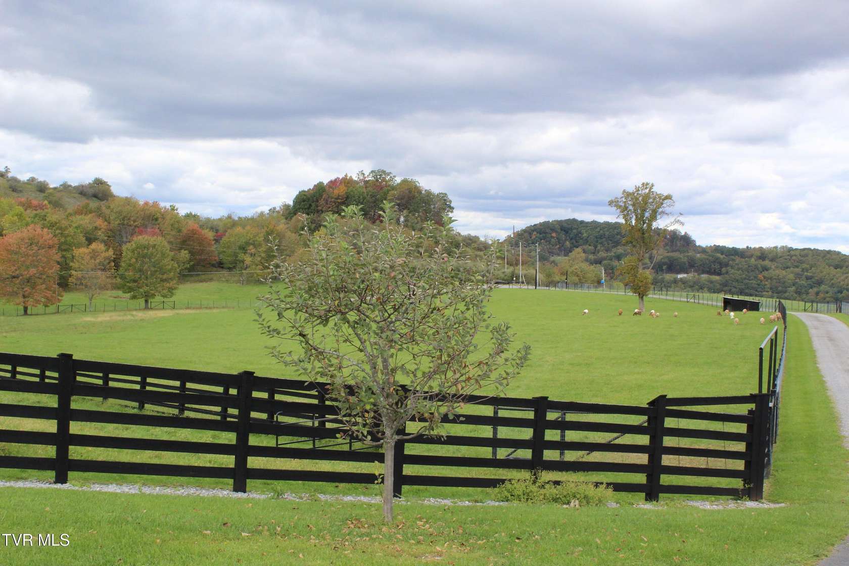 38 Acres of Land with Home for Sale in Wise, Virginia