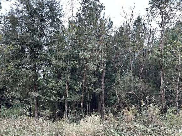 2.475 Acres of Residential Land for Sale in Irvington, Alabama