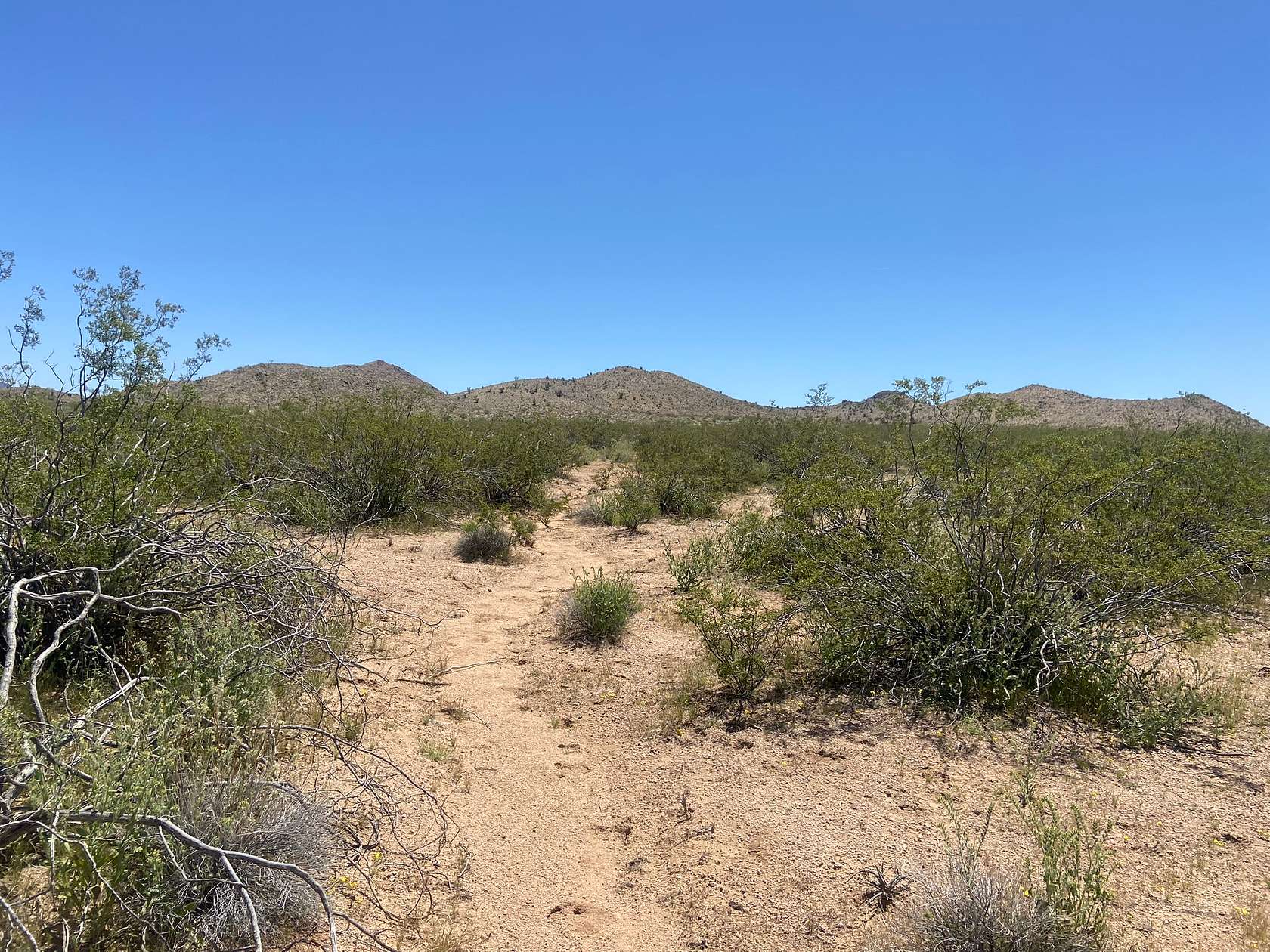 0.23 Acres of Residential Land for Sale in Kingman, Arizona