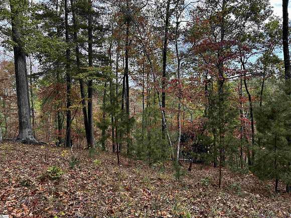 1.25 Acres of Residential Land for Sale in Sunset, South Carolina