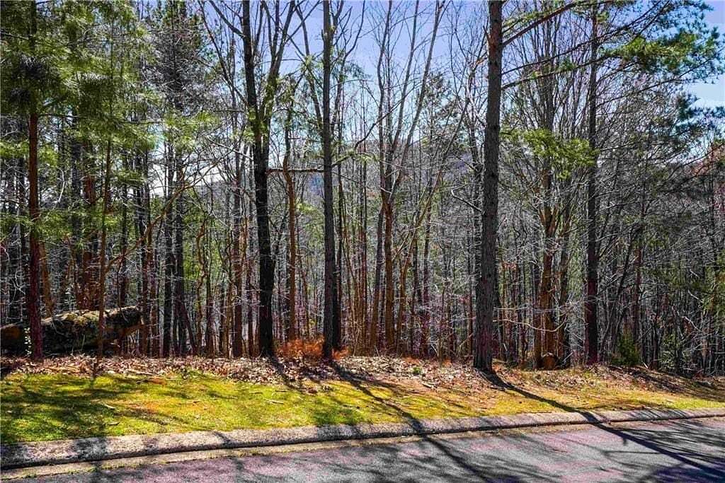 1 Acre of Residential Land for Sale in Clarkesville, Georgia