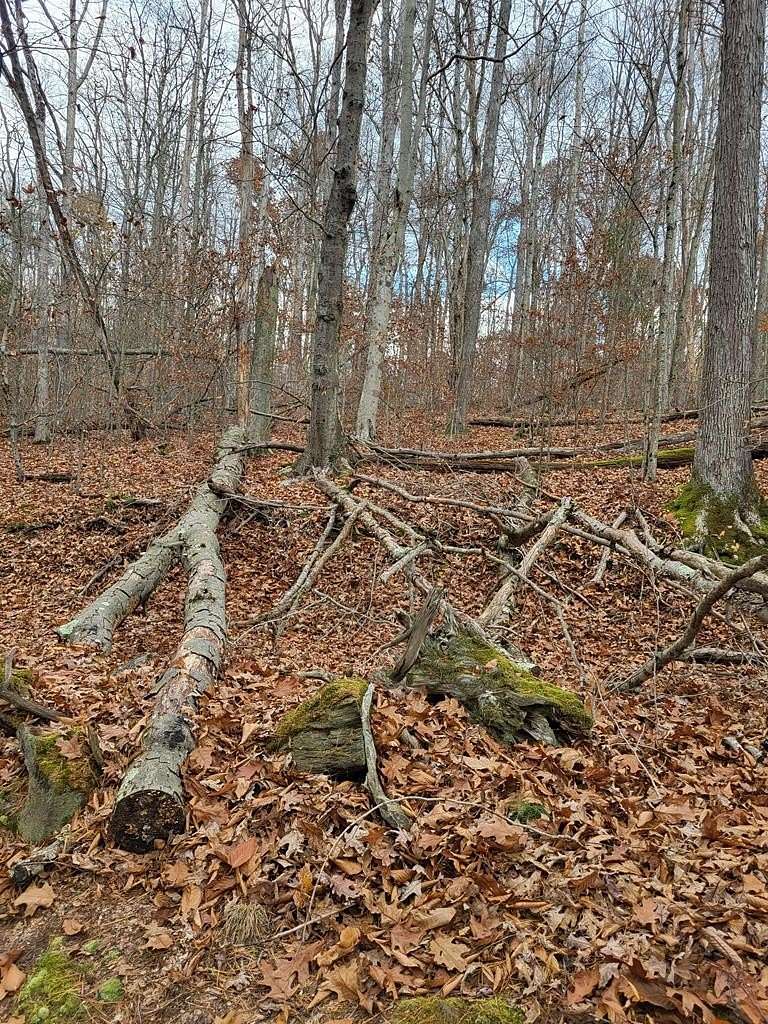 0.9 Acres of Land for Sale in Leeper, Pennsylvania