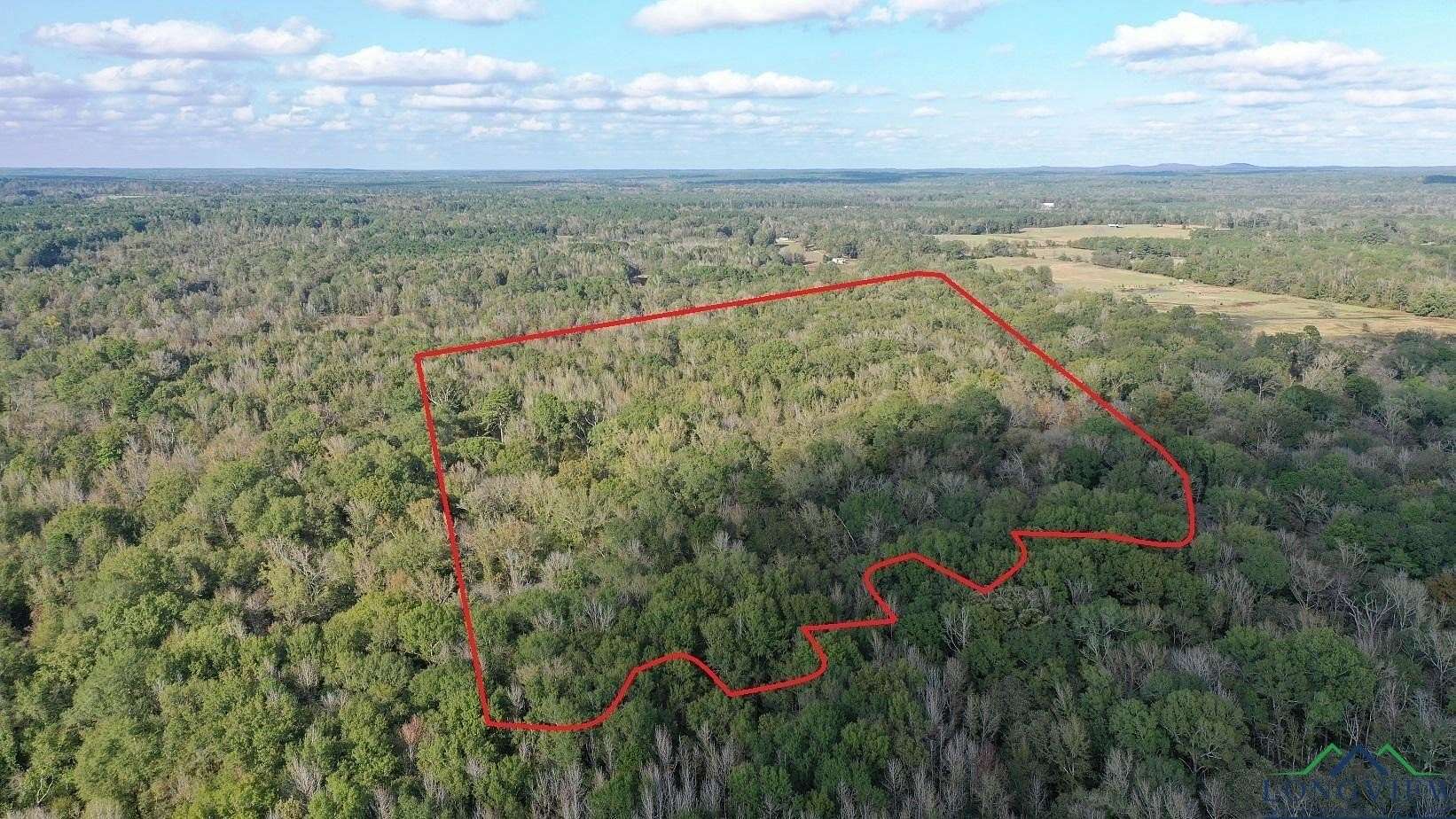 50.24 Acres of Recreational Land for Sale in Hughes Springs, Texas