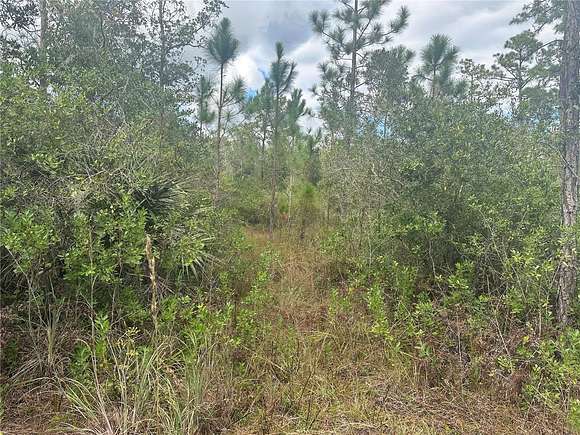 0.35 Acres of Residential Land for Sale in Christmas, Florida