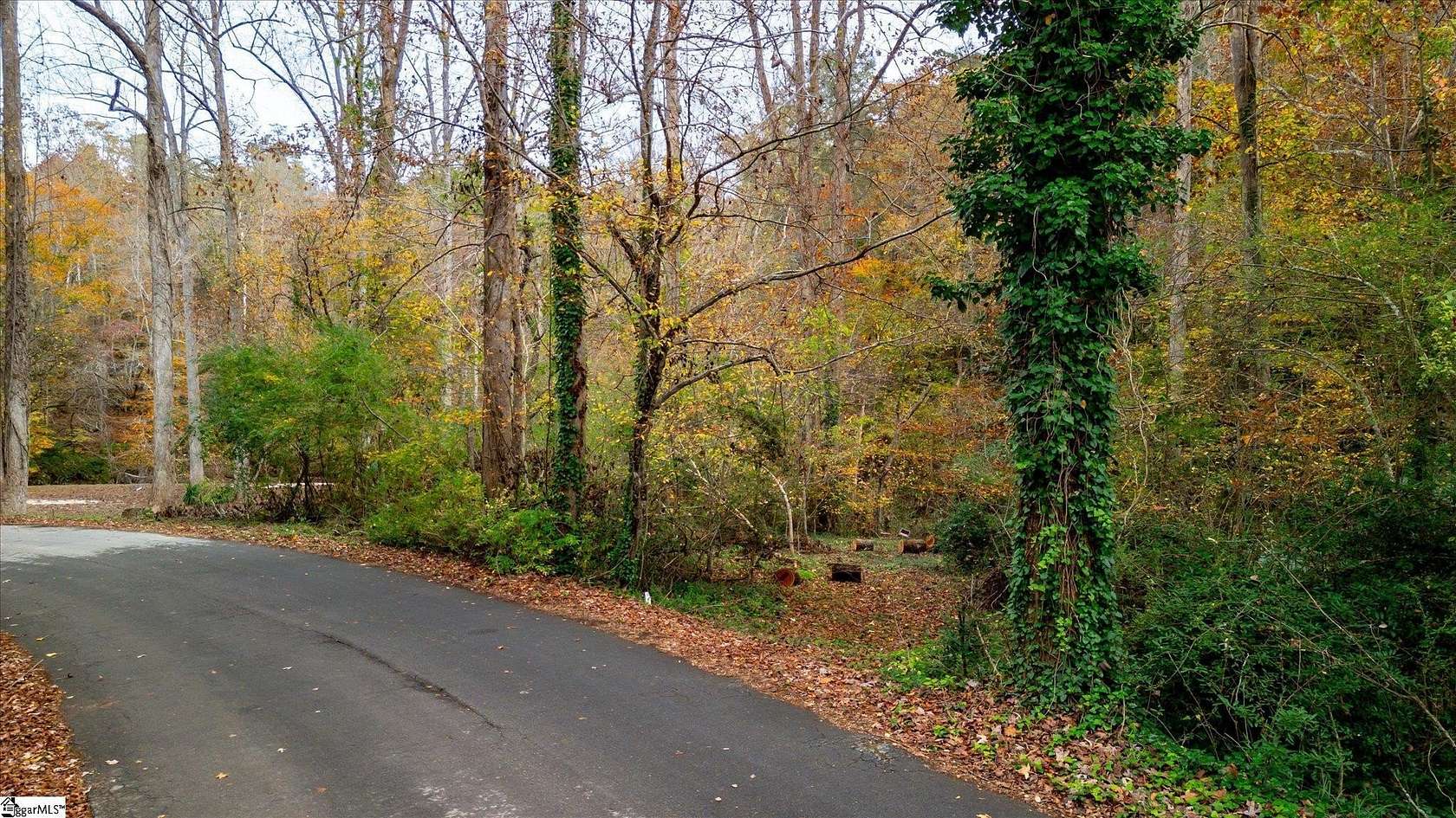 0.28 Acres of Residential Land for Sale in Marietta, South Carolina