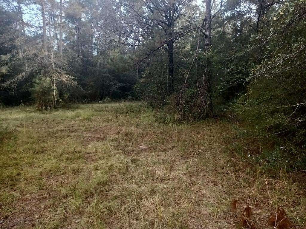 3 Acres of Residential Land for Sale in Carriere, Mississippi