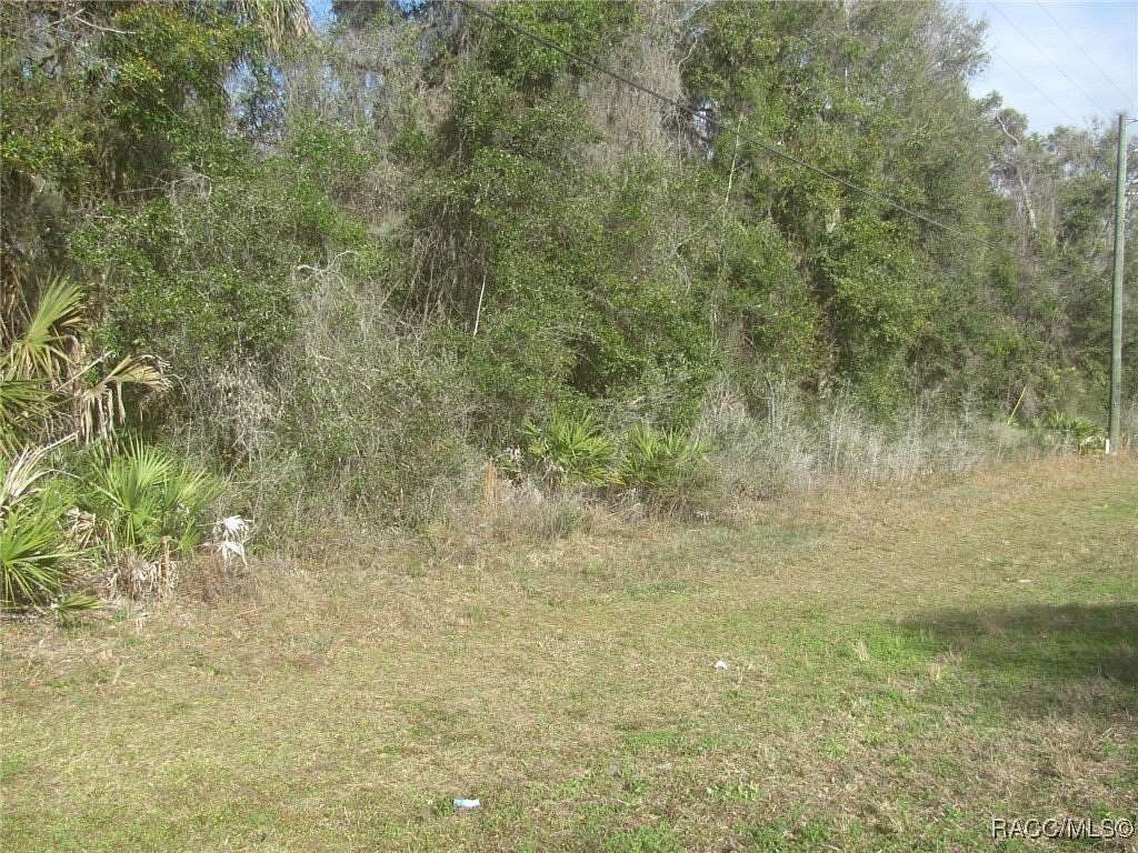 4.77 Acres of Residential Land for Sale in Crystal River, Florida