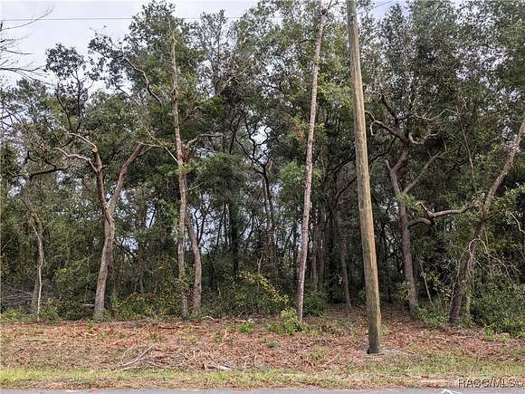 0.27 Acres of Residential Land for Sale in Inverness, Florida