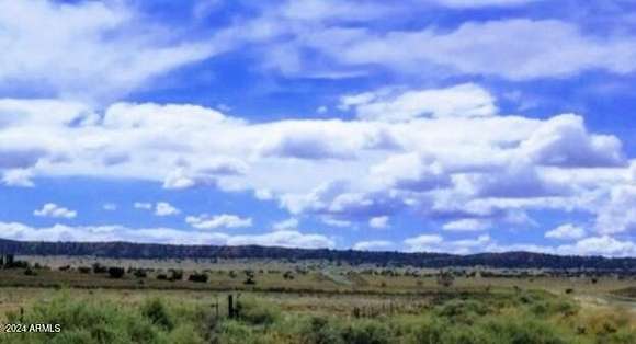 1 Acre of Residential Land for Sale in Chambers, Arizona