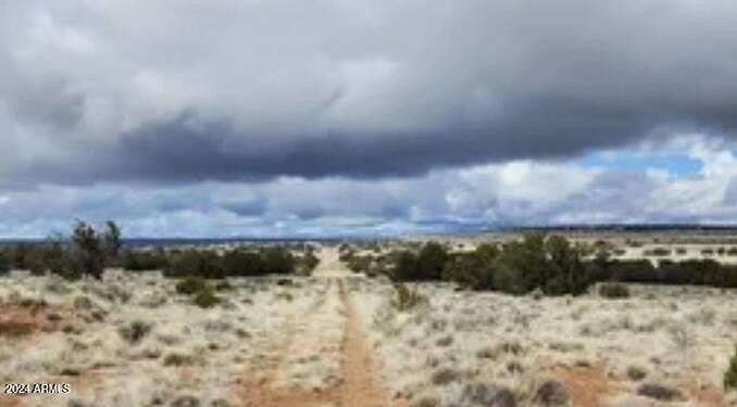 1 Acre of Residential Land for Sale in Chambers, Arizona