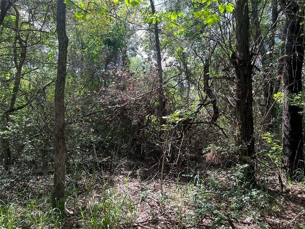 0.358 Acres of Land for Sale in Log Cabin, Texas