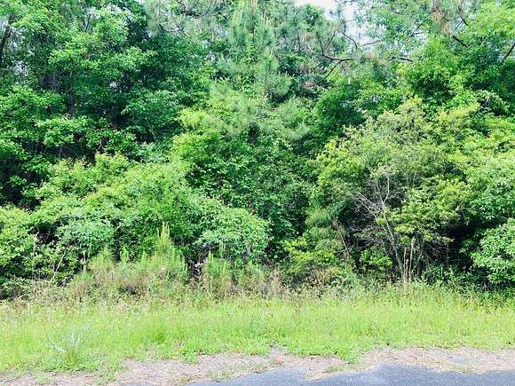 0.25 Acres of Residential Land for Sale in Carrabelle, Florida