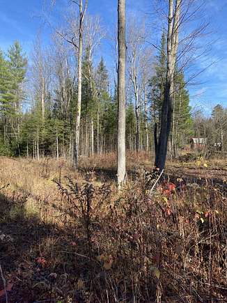 2.29 Acres of Residential Land for Sale in Atlanta, Michigan