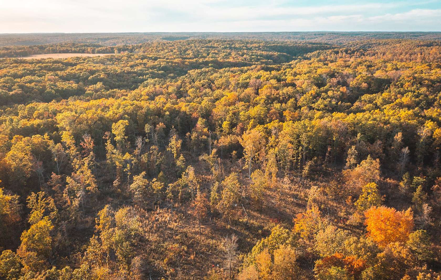 30 Acres of Recreational Land for Sale in Hartshorn, Missouri