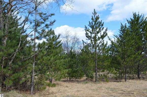 5 Acres of Land for Sale in Kalkaska, Michigan