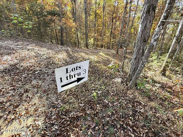 17 Acres of Agricultural Land for Sale in Parrottsville, Tennessee