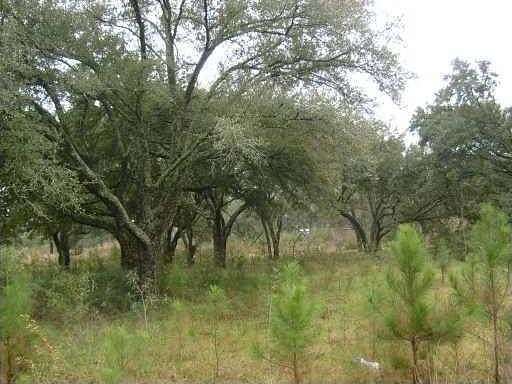 5.1 Acres of Residential Land for Sale in Covington, Louisiana