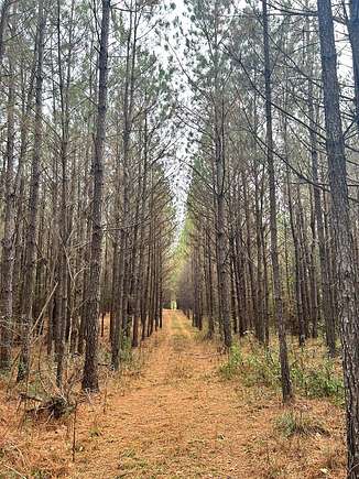 25 Acres of Recreational Land for Sale in Brookhaven, Mississippi