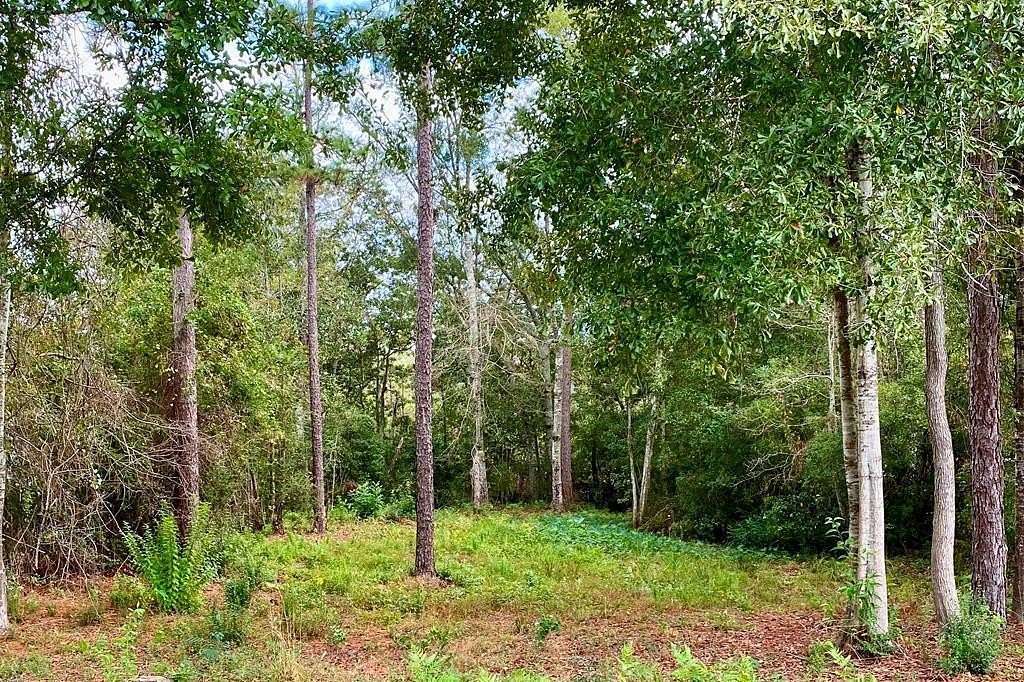 0.33 Acres of Residential Land for Sale in Carriere, Mississippi