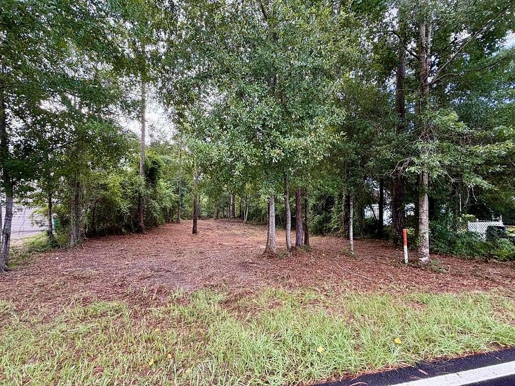 0.33 Acres of Residential Land for Sale in Carriere, Mississippi