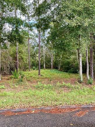 0.33 Acres of Residential Land for Sale in Carriere, Mississippi