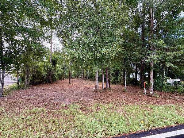 0.33 Acres of Residential Land for Sale in Carriere, Mississippi