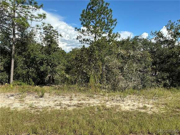 0.23 Acres of Residential Land for Sale in Citrus Springs, Florida