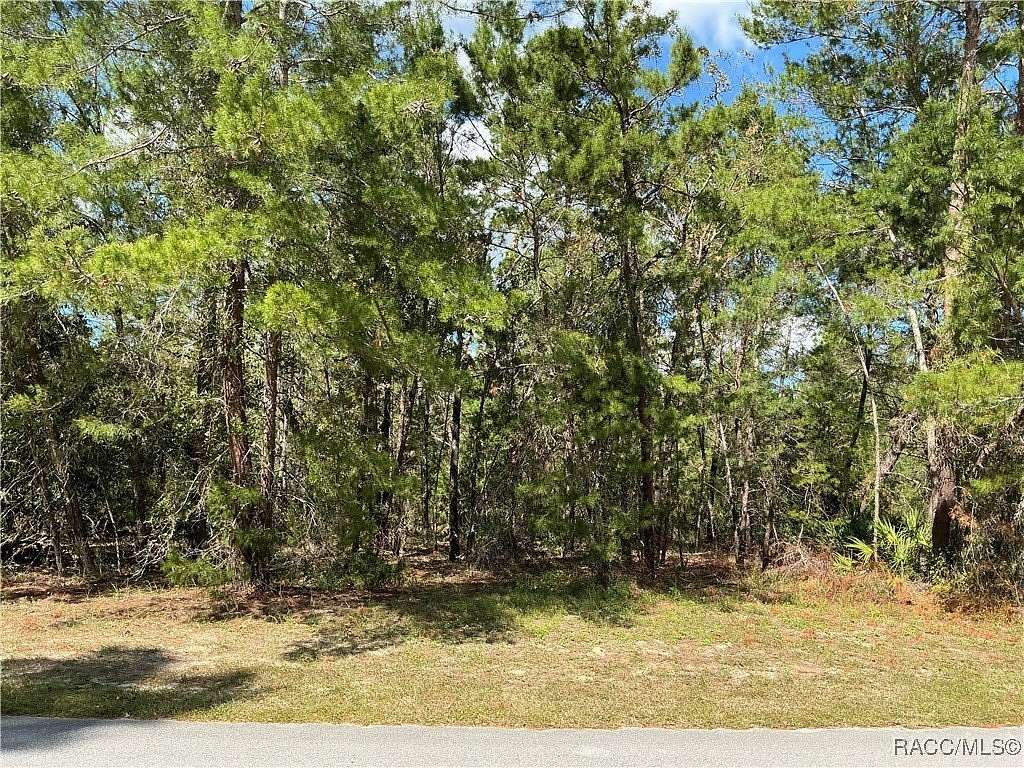 0.28 Acres of Land for Sale in Homosassa, Florida