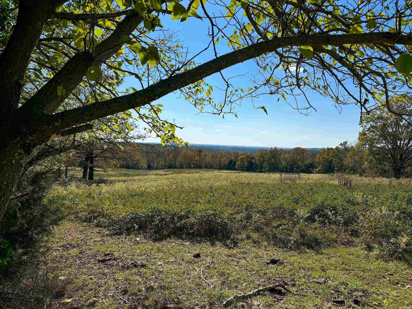 40 Acres of Recreational Land & Farm for Sale in Quitman, Arkansas