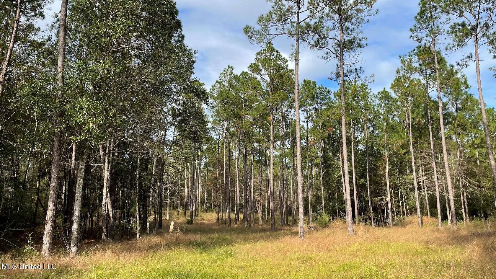 7.8 Acres of Land for Sale in Saucier, Mississippi