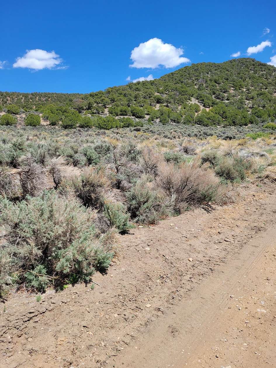 5.5 Acres of Residential Land for Sale in Fort Garland, Colorado